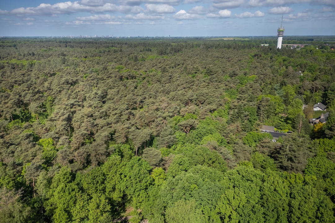 Foto 38 van Nederhuizinge 24