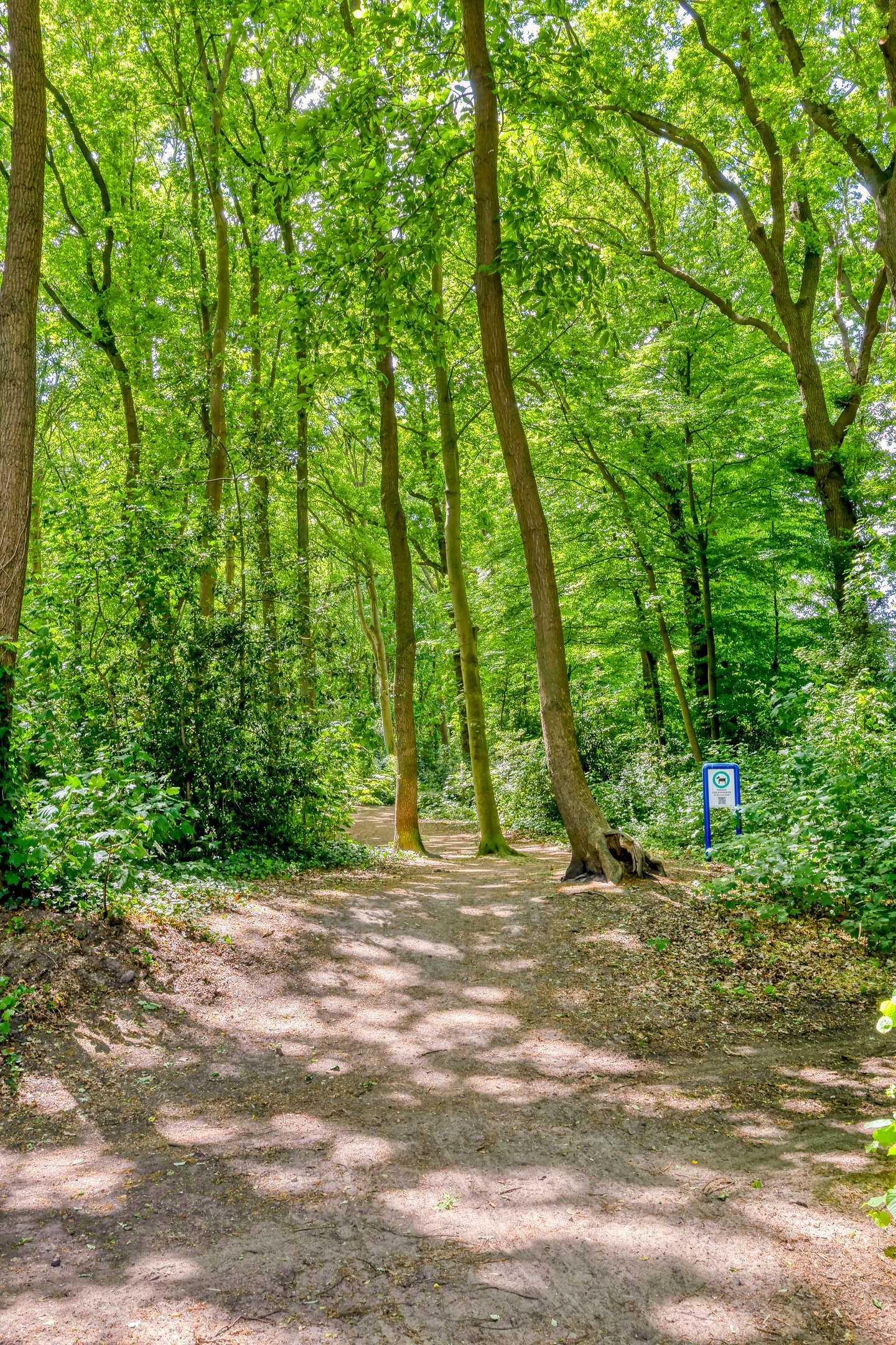 Foto 55 van Steenbergseweg 11