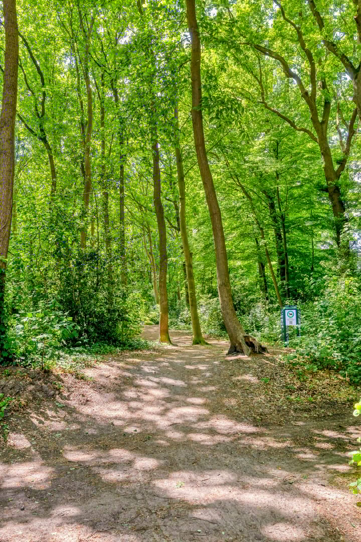 Photo 55 of Steenbergseweg 11