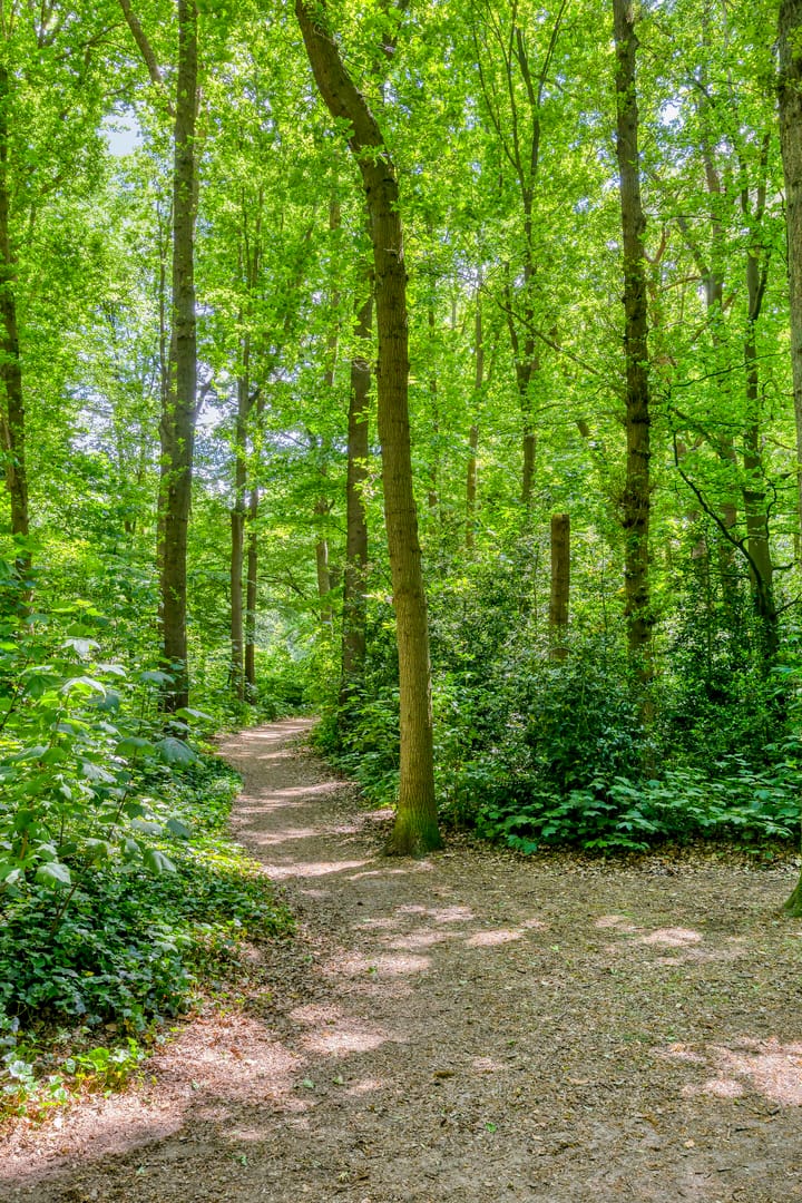 Photo 56 of Steenbergseweg 11