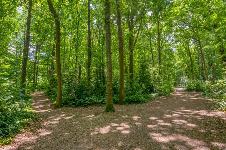 Photo 57 of Steenbergseweg 11