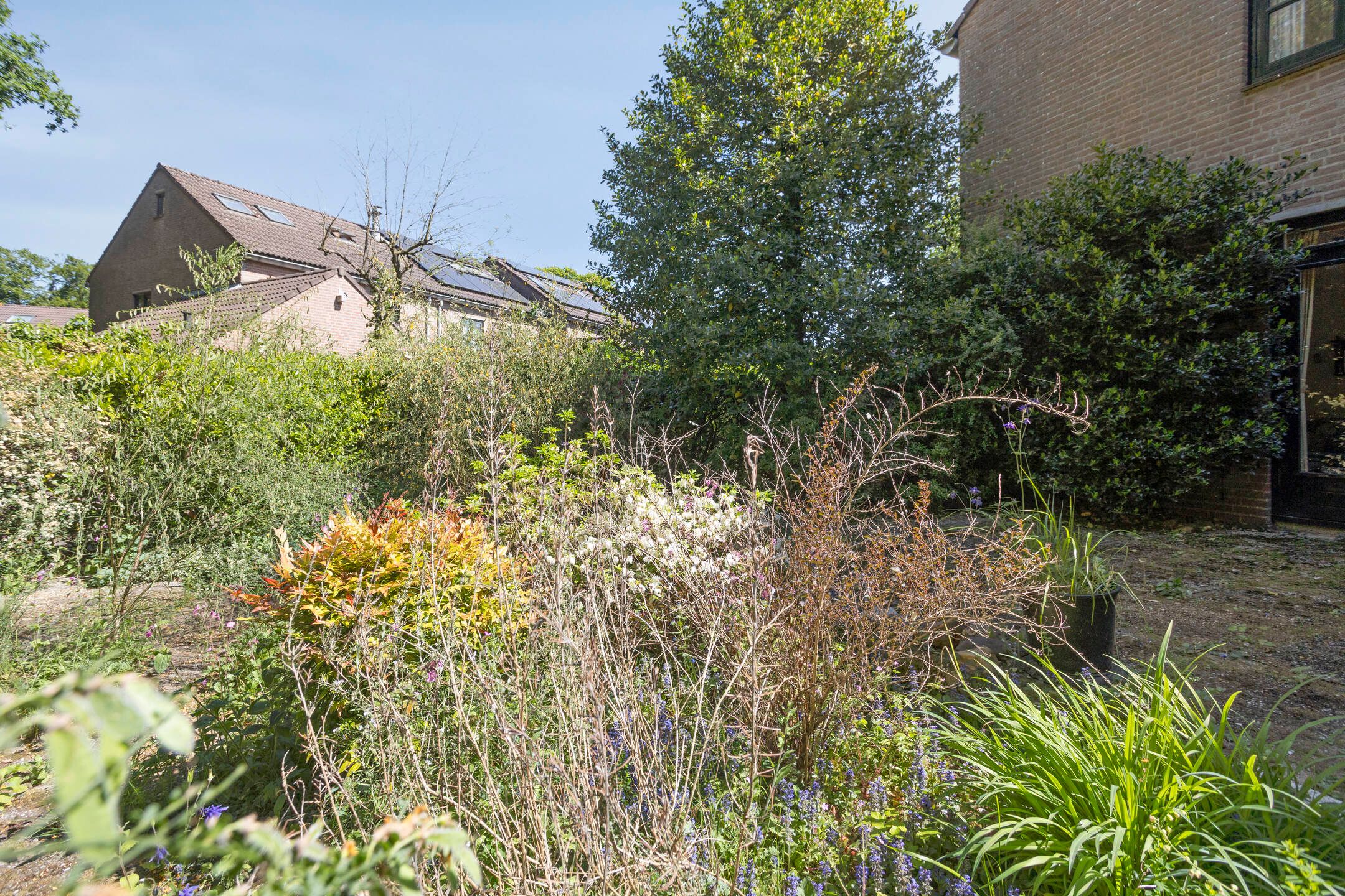 Foto 27 van Begijnenhof 6