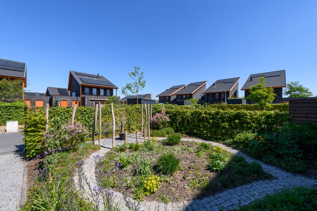 Foto 47 van Korte Venen 13