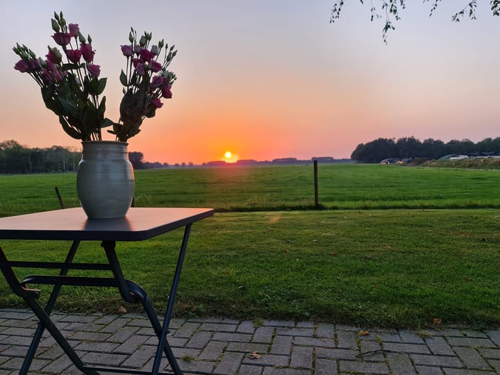 Foto 8 van Schapendrift 6