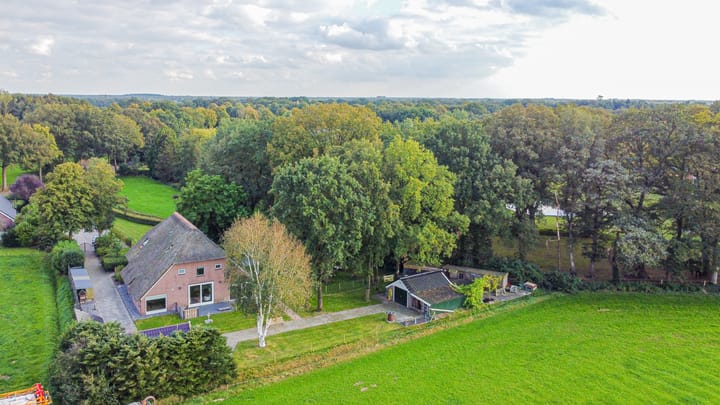 Foto 9 van Schapendrift 6