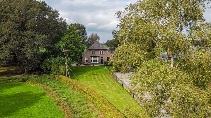 Foto 12 van Schapendrift 6