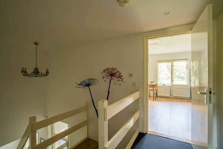 Foto 35 van Schapendrift 6