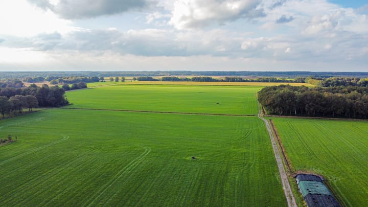 Foto 10 van Schapendrift 6