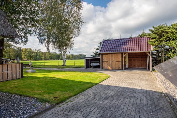 Foto 43 van Schapendrift 6