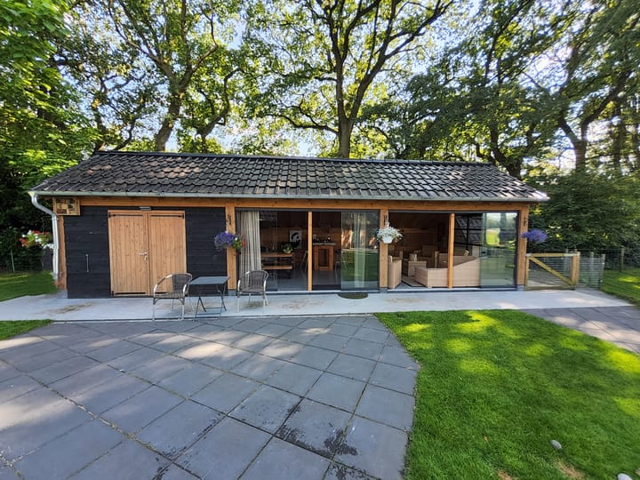 Foto 6 van Schapendrift 6