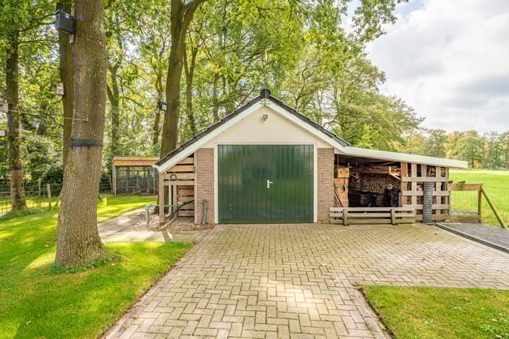 Foto 49 van Schapendrift 6