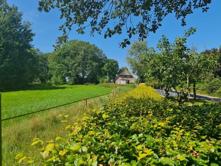 Foto 60 van Schapendrift 6