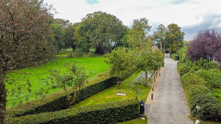 Foto 61 van Schapendrift 6