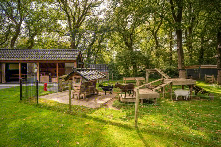 Foto 51 van Schapendrift 6