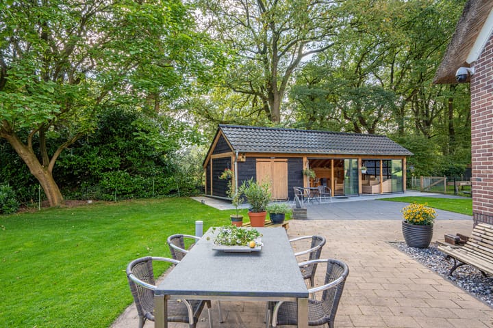 Foto 55 van Schapendrift 6