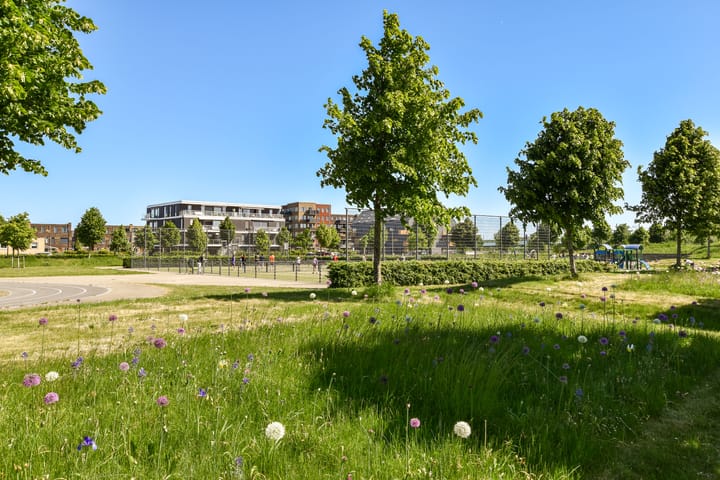 Foto 19 van Slowakijeplaats 21