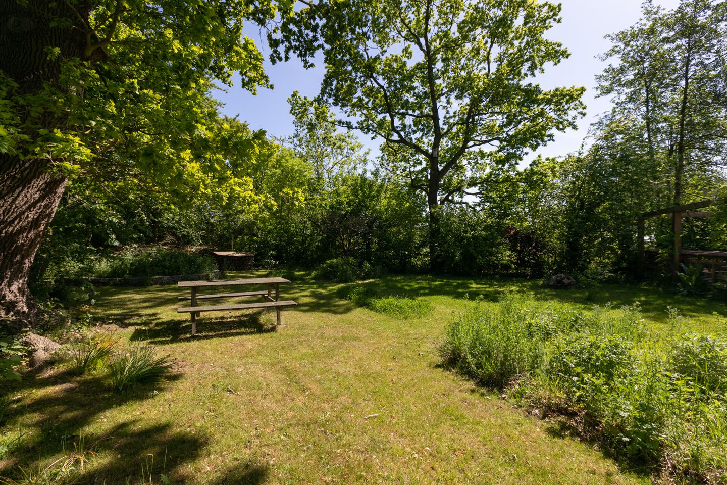 Foto 49 van Goaijengeamieden 5