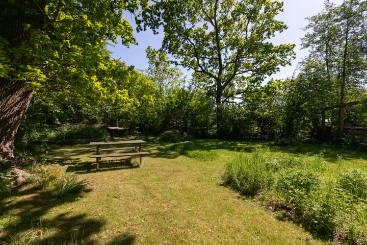 Foto 49 van Goaijengeamieden 5