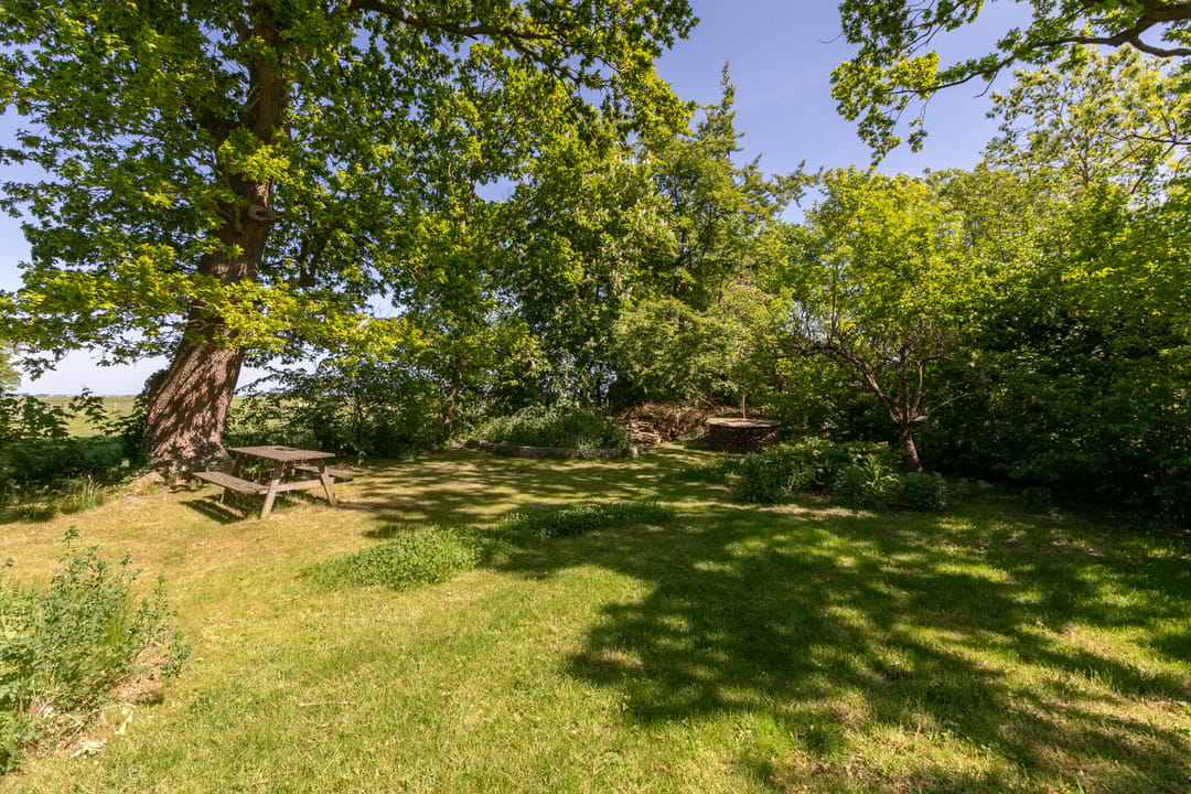 Foto 67 van Goaijengeamieden 5