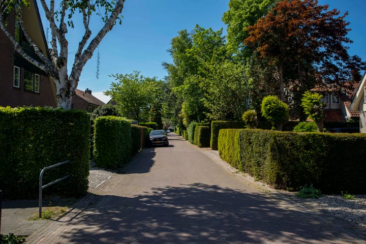 Photo 51 of Nieuweweg 39-B