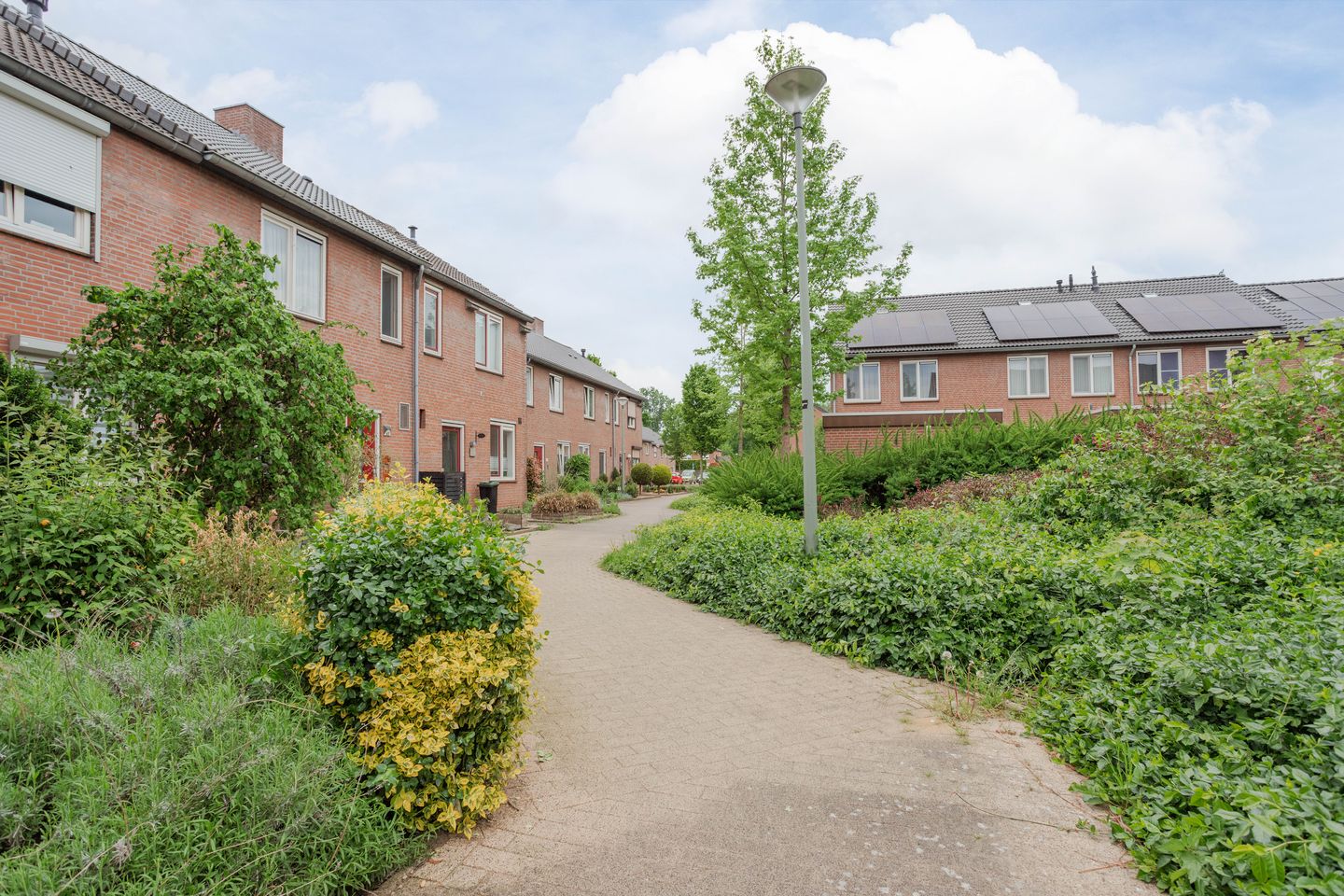 Photo 35 of In de Riet 39