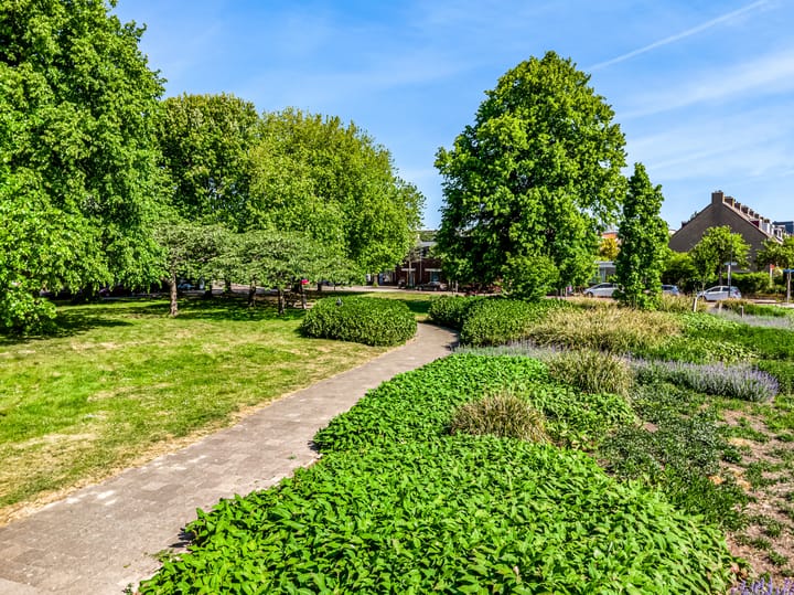 Foto 41 van Van Baerlestraat 8