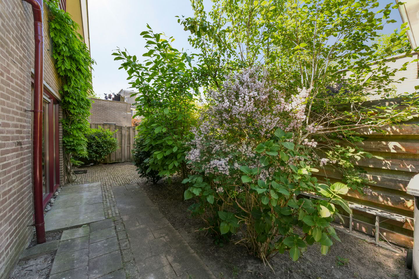 Foto 20 van Grutto 9