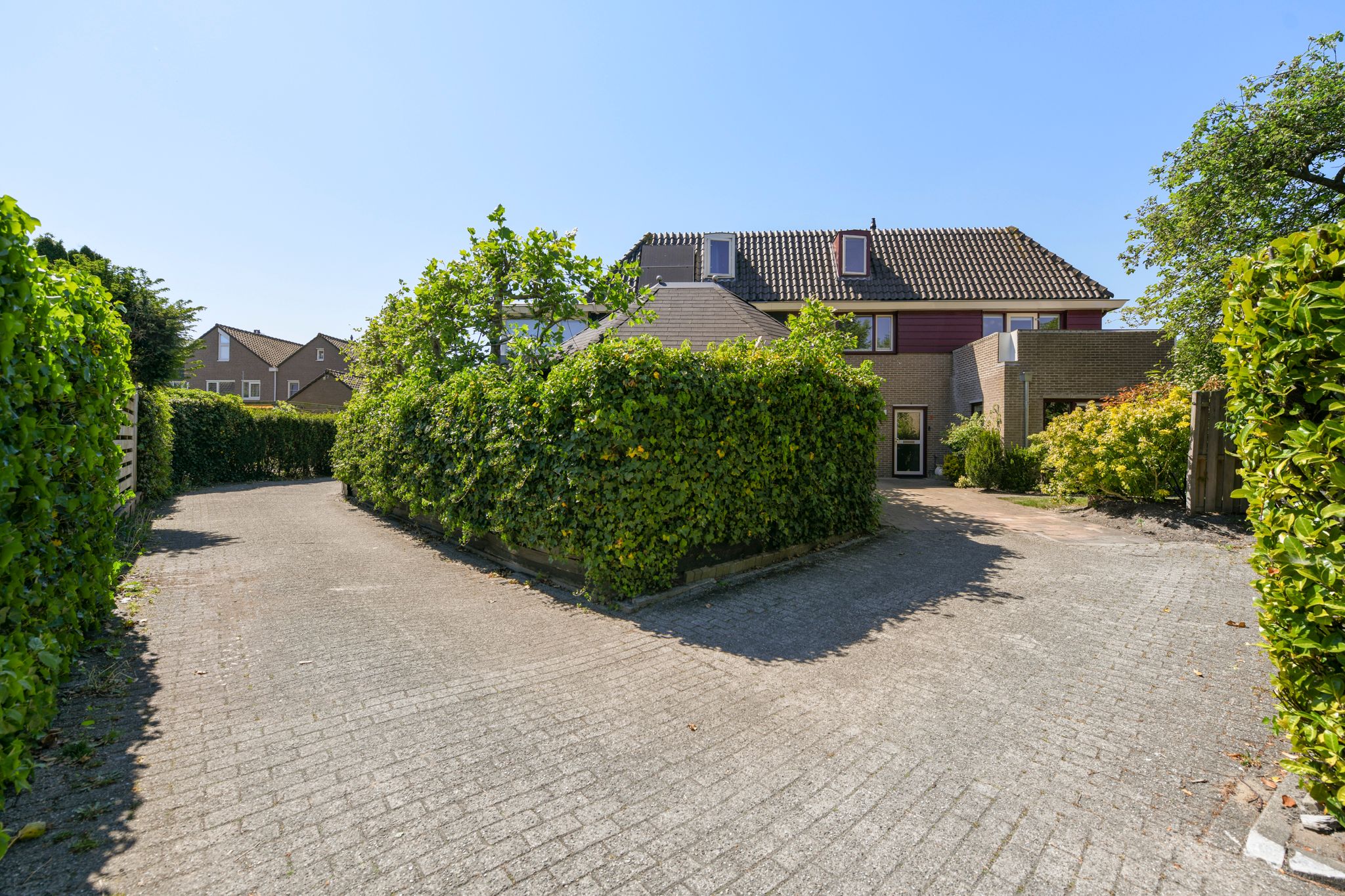 Foto 39 van Grutto 9