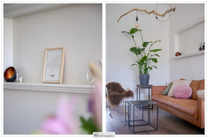 Foto 14 van De Genestetstraat 40