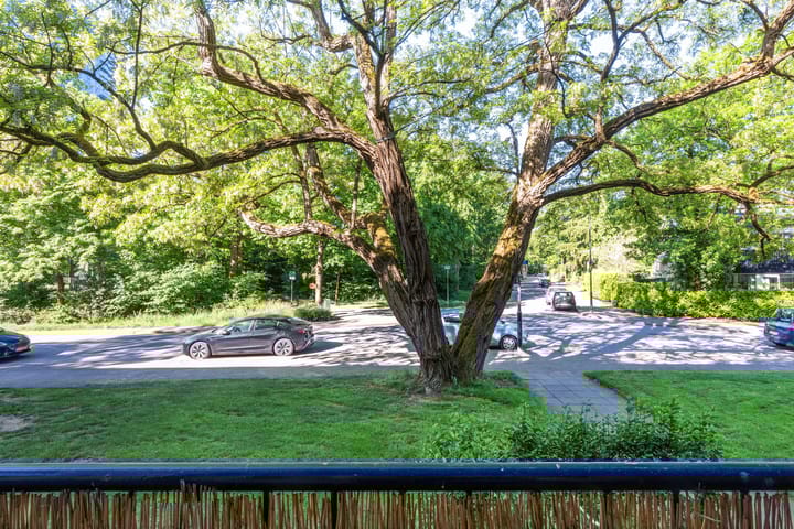 Foto 8 van Waltersingel 30