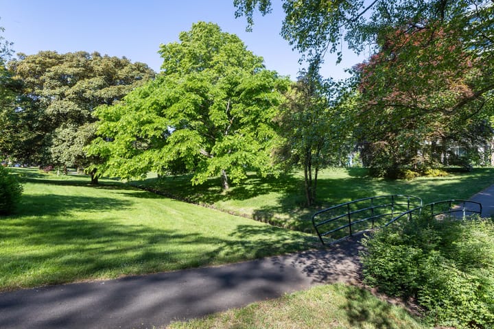 Foto 37 van Waltersingel 30