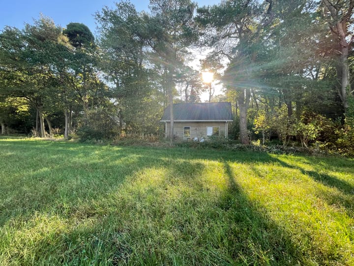 Foto 2 van Apollolaan 4