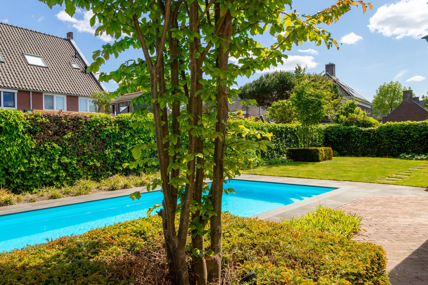 Foto 50 van Monnikserf 19