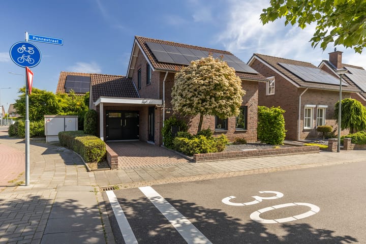 Foto 6 van Pannestraat 1