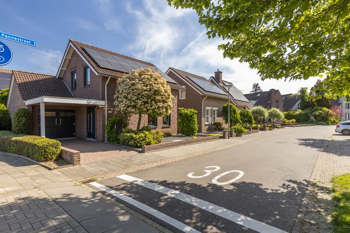 Foto 7 van Pannestraat 1