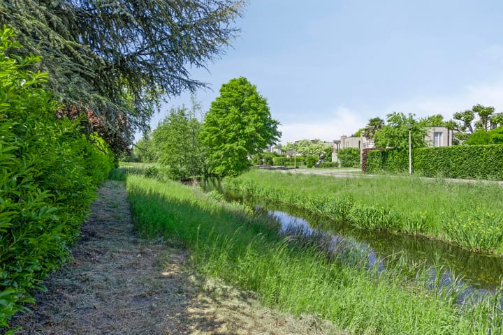 Foto 36 van Willem Dreessingel 77