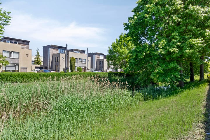 Foto 37 van Willem Dreessingel 77