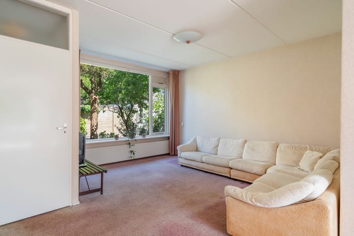 Foto 2 van De Frankenthaler 25