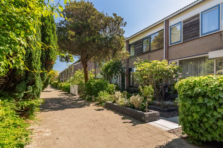 Foto 5 van De Frankenthaler 25