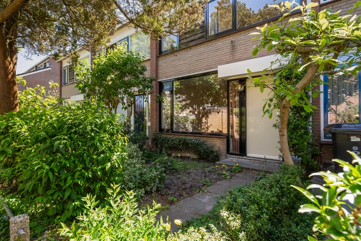 Foto 6 van De Frankenthaler 25