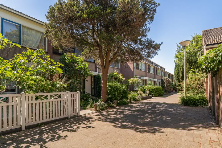 Foto 7 van De Frankenthaler 25