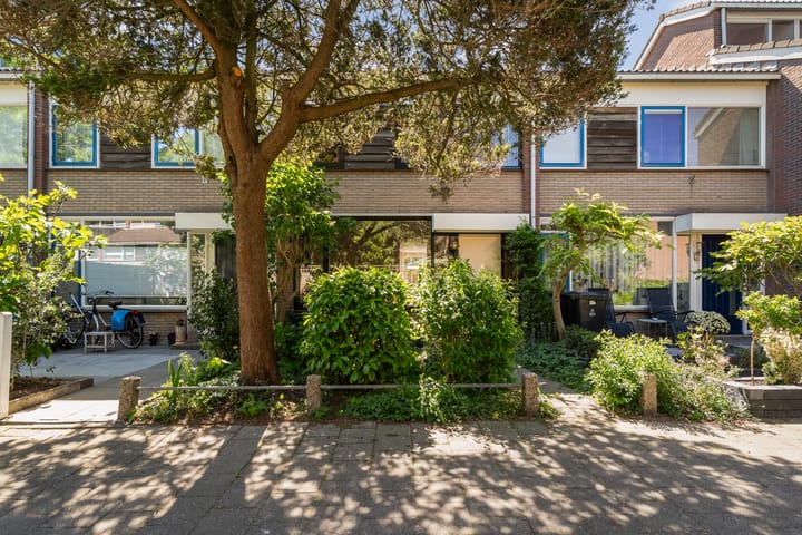 Foto 8 van De Frankenthaler 25