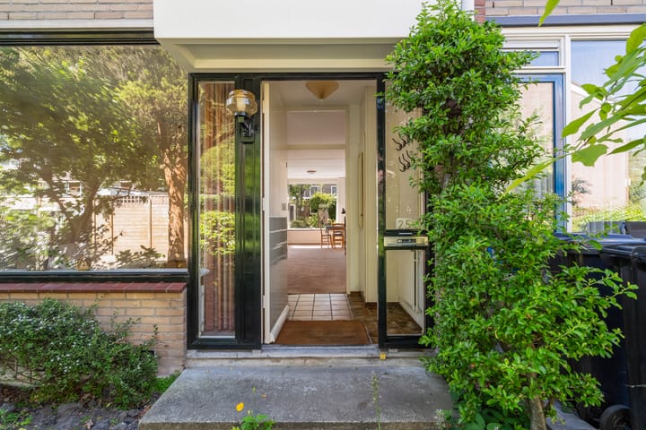 Foto 9 van De Frankenthaler 25