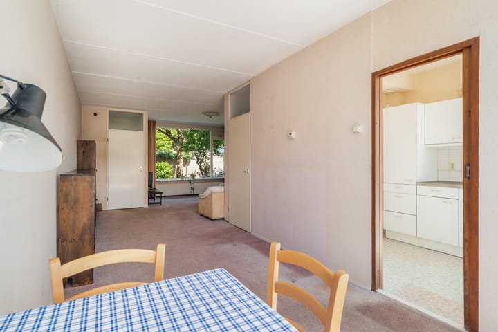 Foto 16 van De Frankenthaler 25