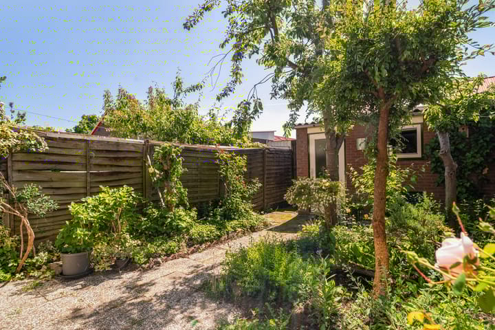 Foto 24 van De Frankenthaler 25