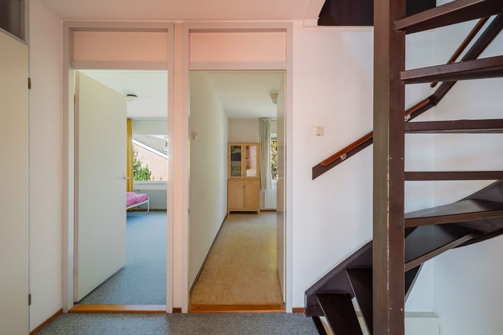 Foto 28 van De Frankenthaler 25