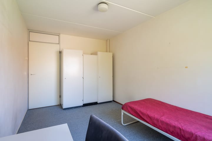 Foto 34 van De Frankenthaler 25