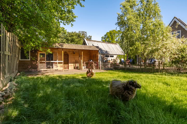 Foto 47 van Lytse Wyngaerden 19