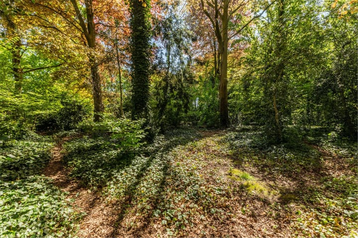 Foto 41 van Vlielandlaan 2