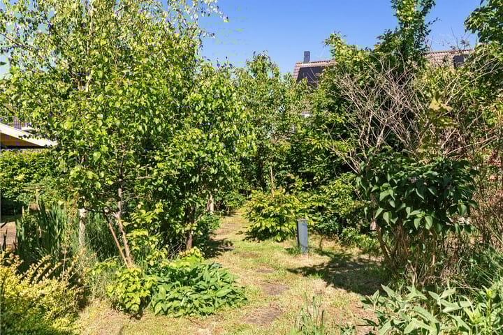 Foto 38 van De Wurdze 35